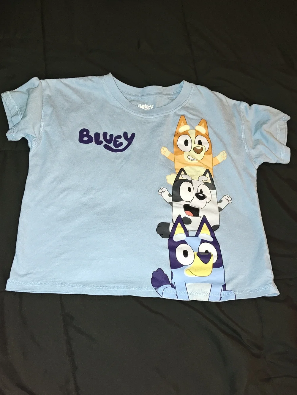 Disney Light Blue Bluey Stack Graphic Tee